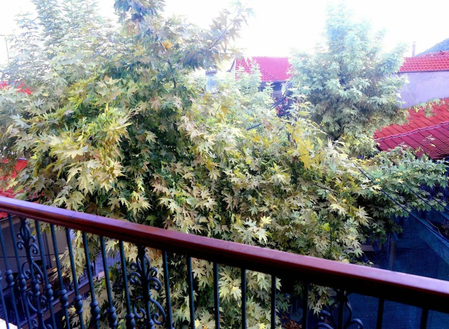 Hotel Paggaio Princess