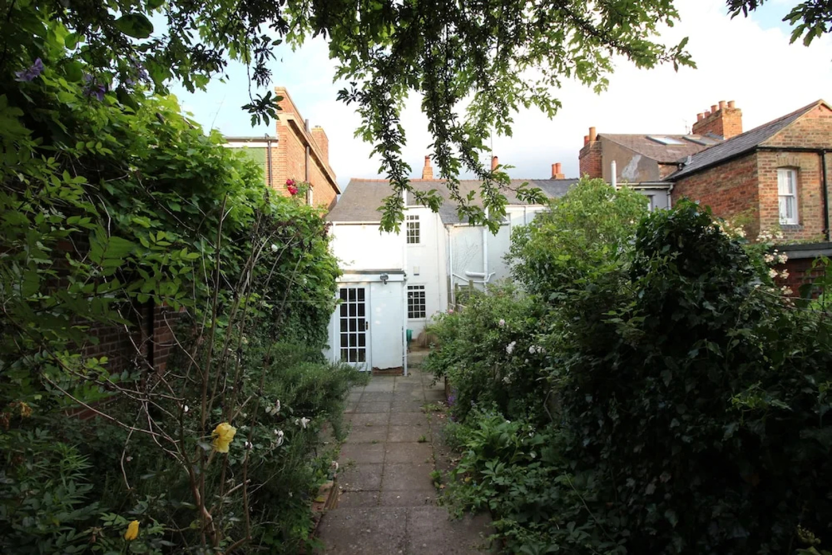 The Great Observatory (Peymans)