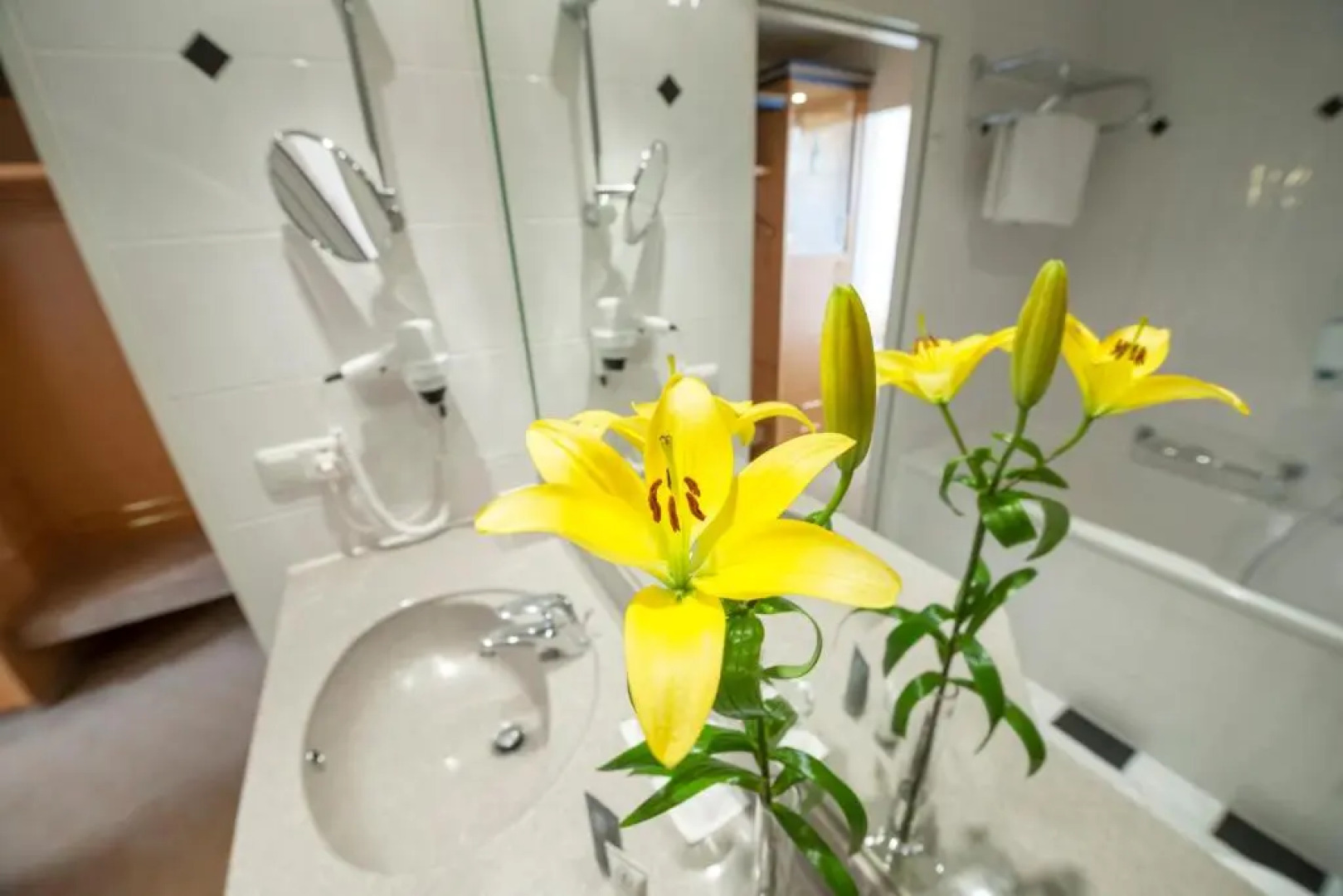 Dorint Am Goethepark Weimar