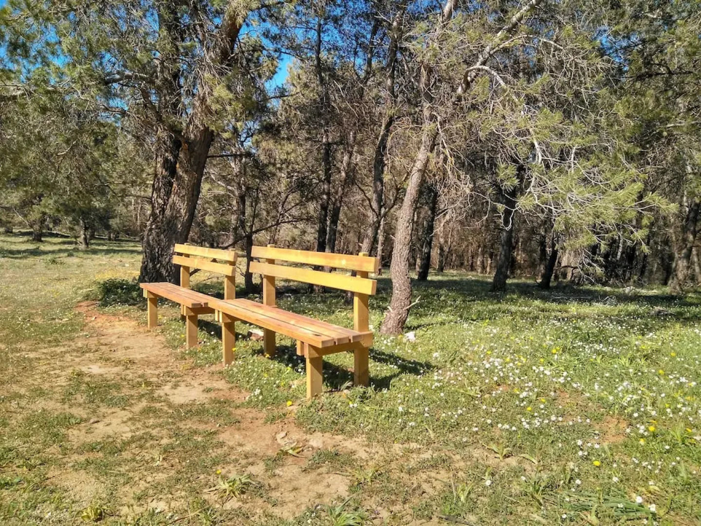 Magina Dream La Guardia