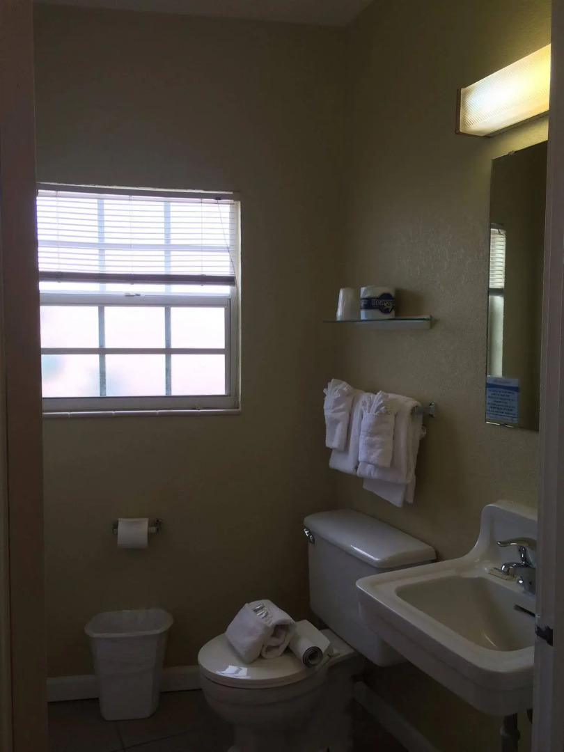 Coquina On The Beach