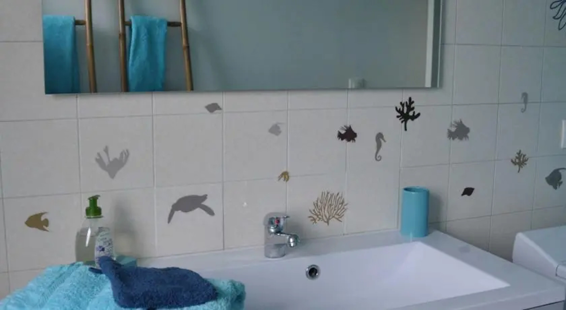 Lavandin Montpellier