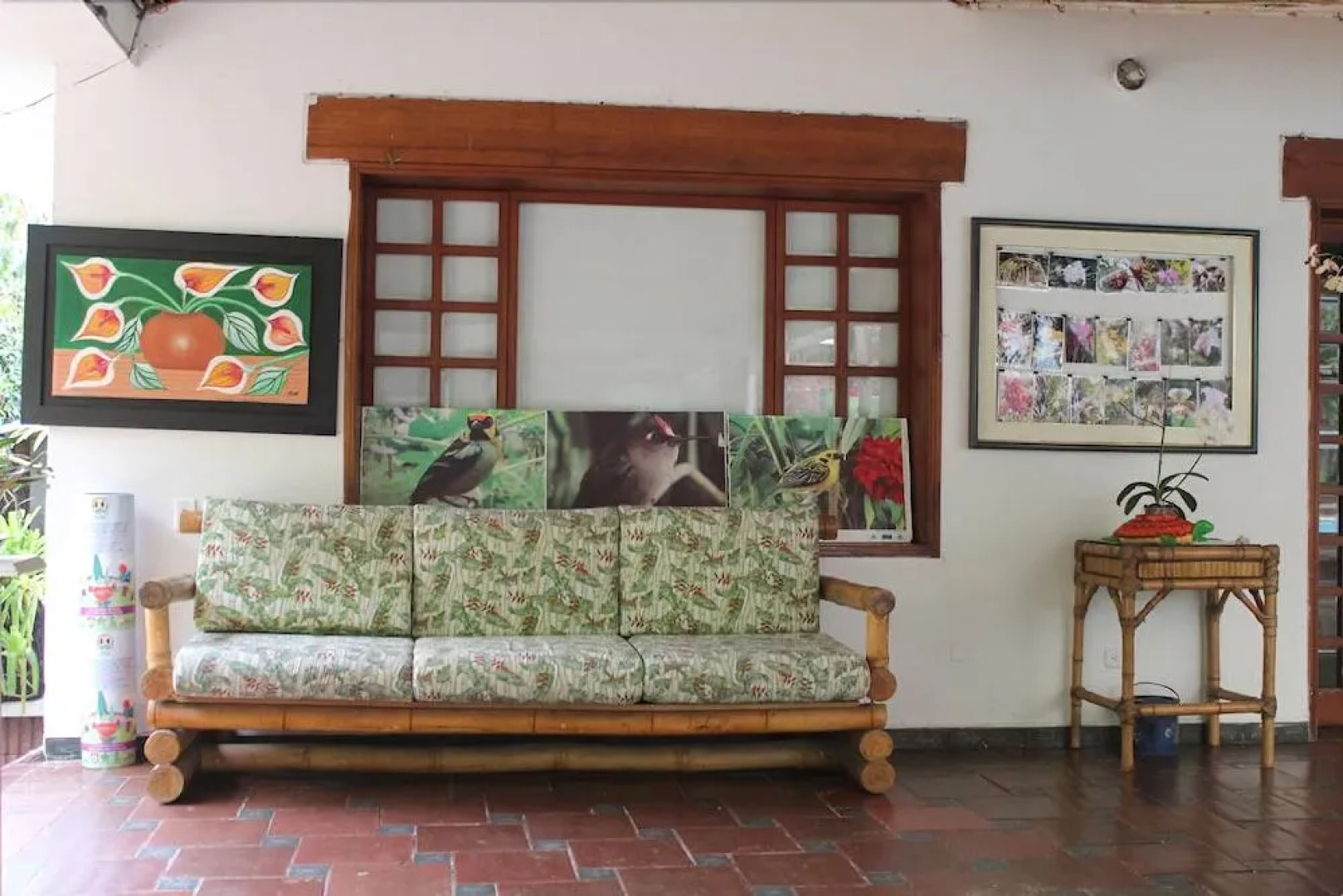 Orquideas del Tolima