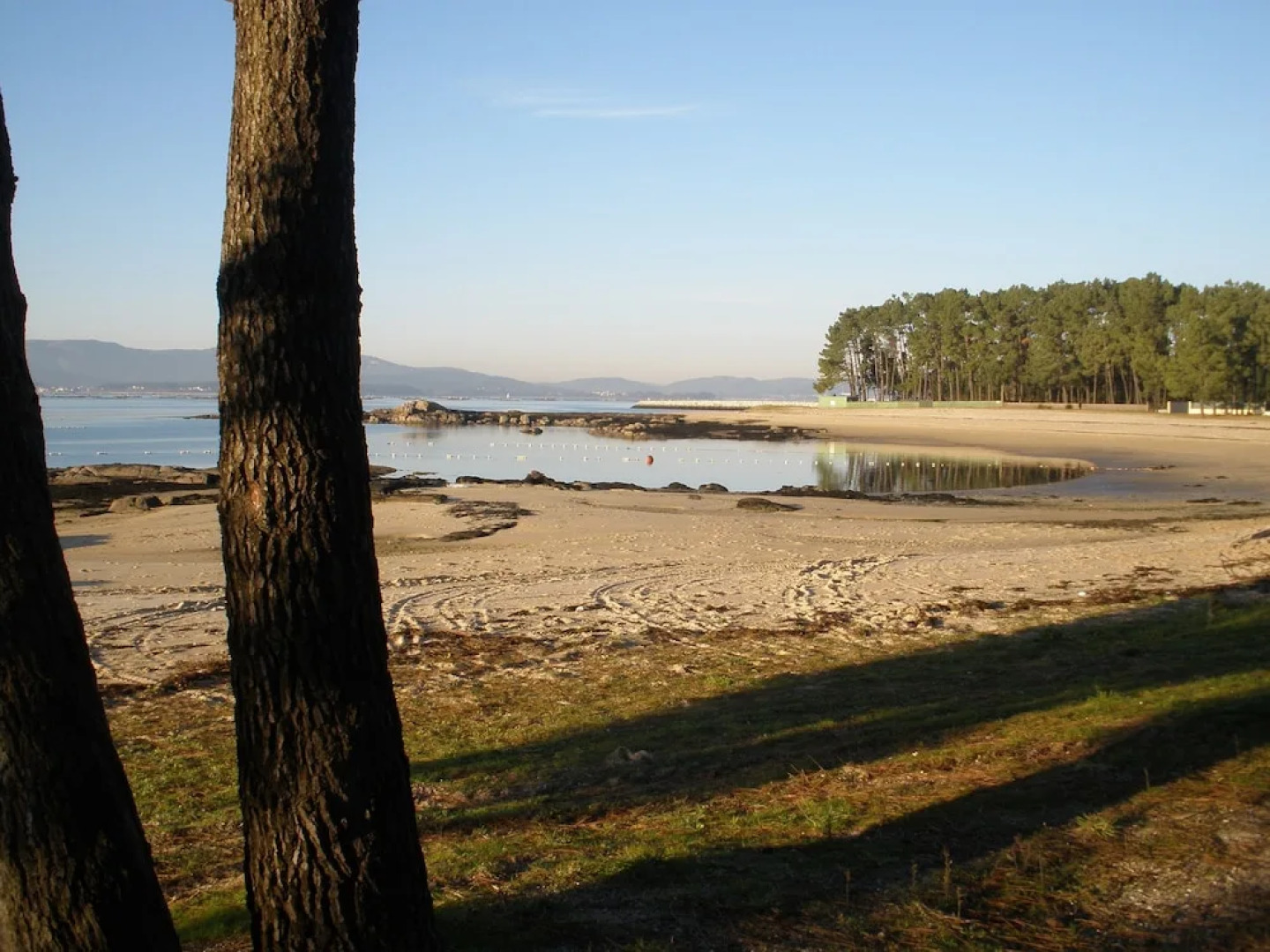 Apartamentos Turísticos Puerto Basella