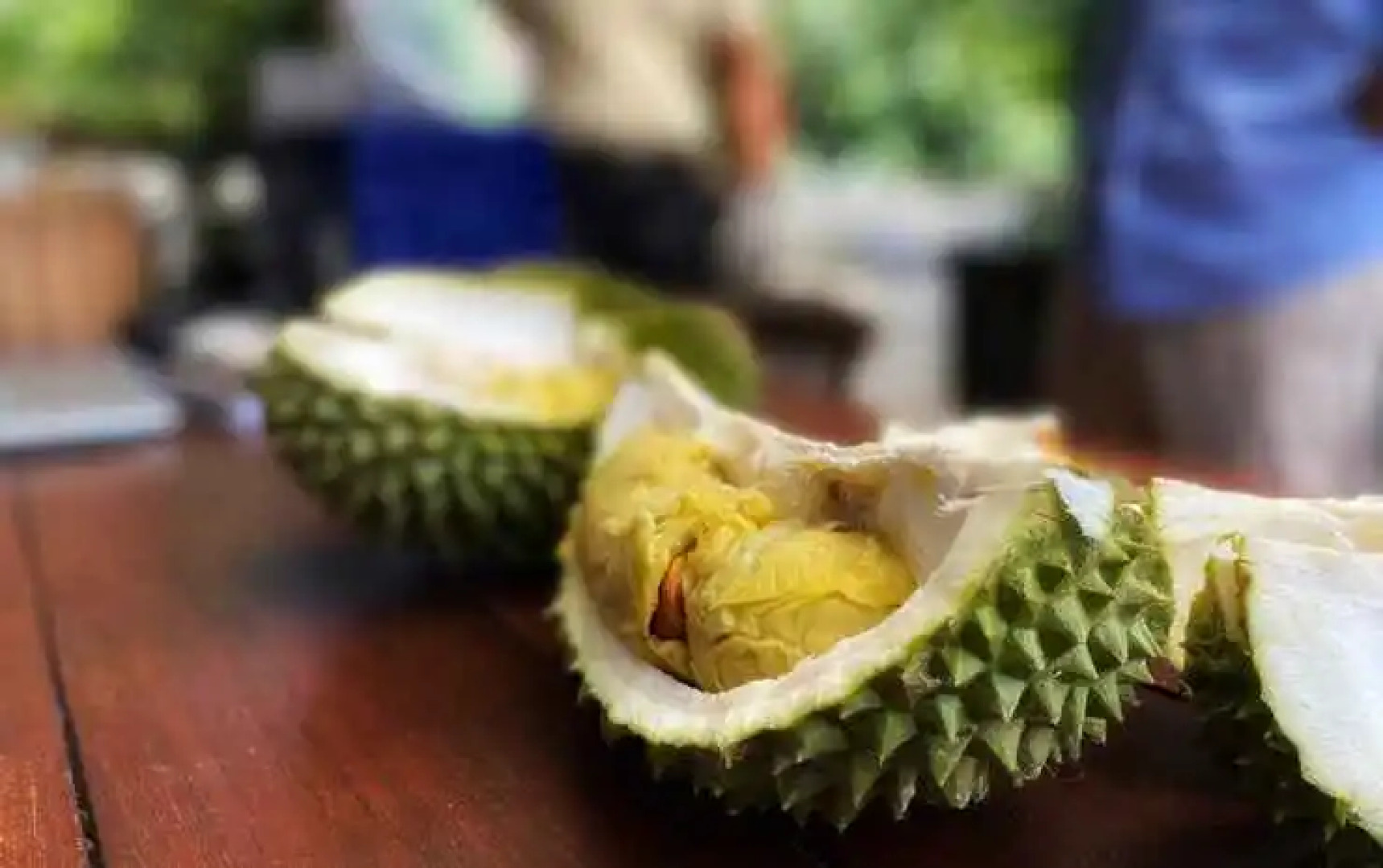 Gibbon Retreat Bentong