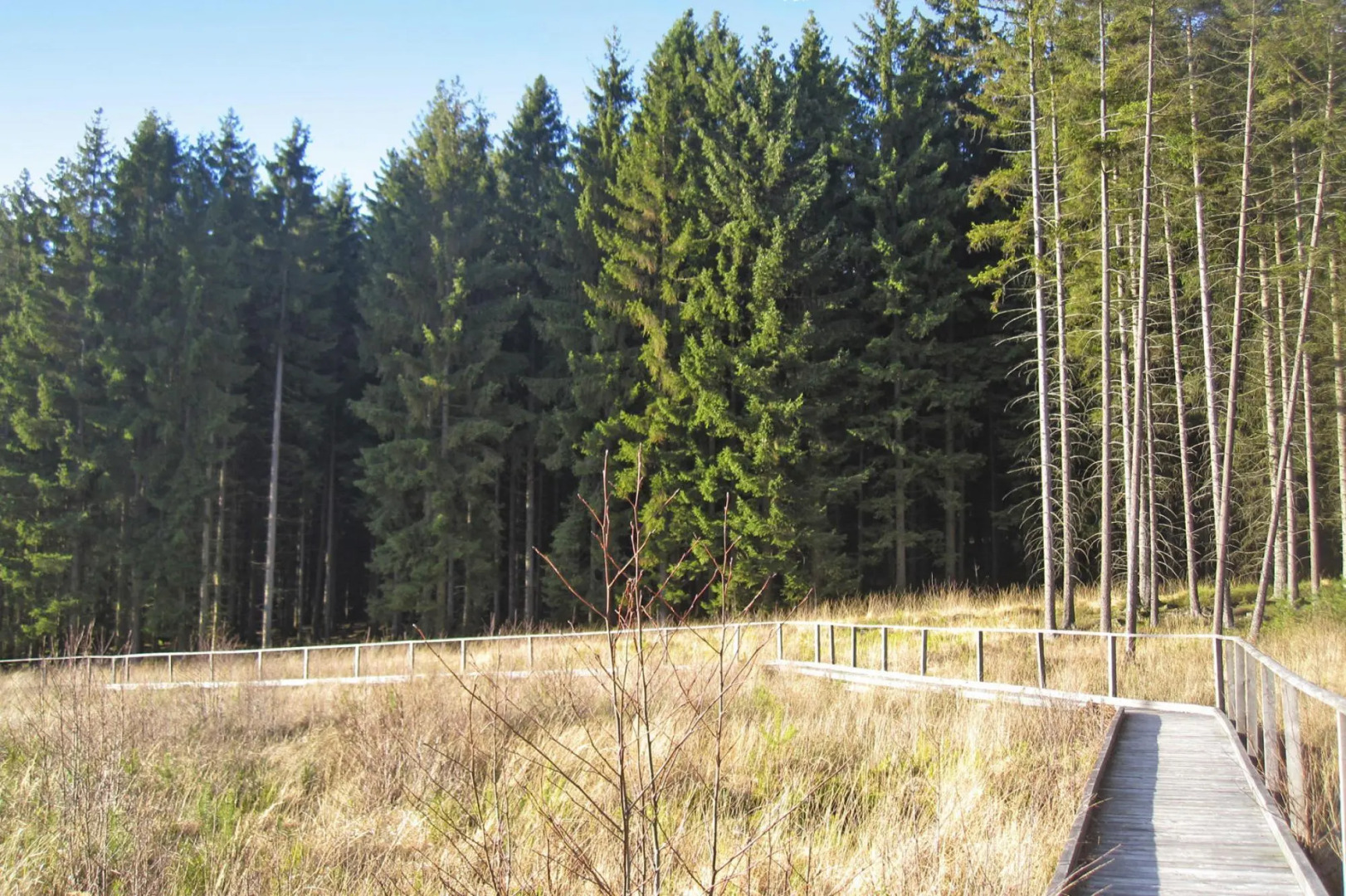 Apartments, Lissendorf