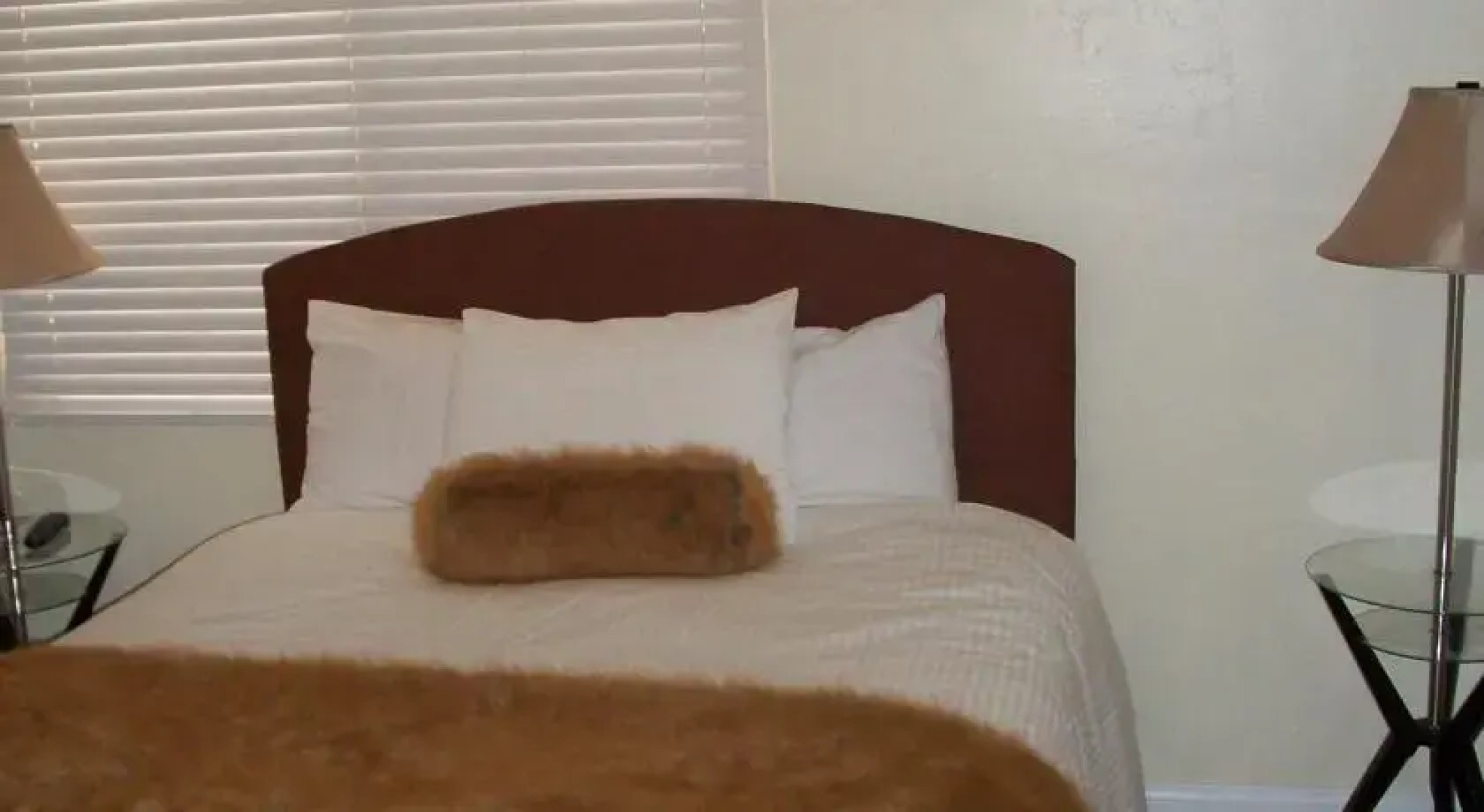 Raccoon Lodge Holiday Home