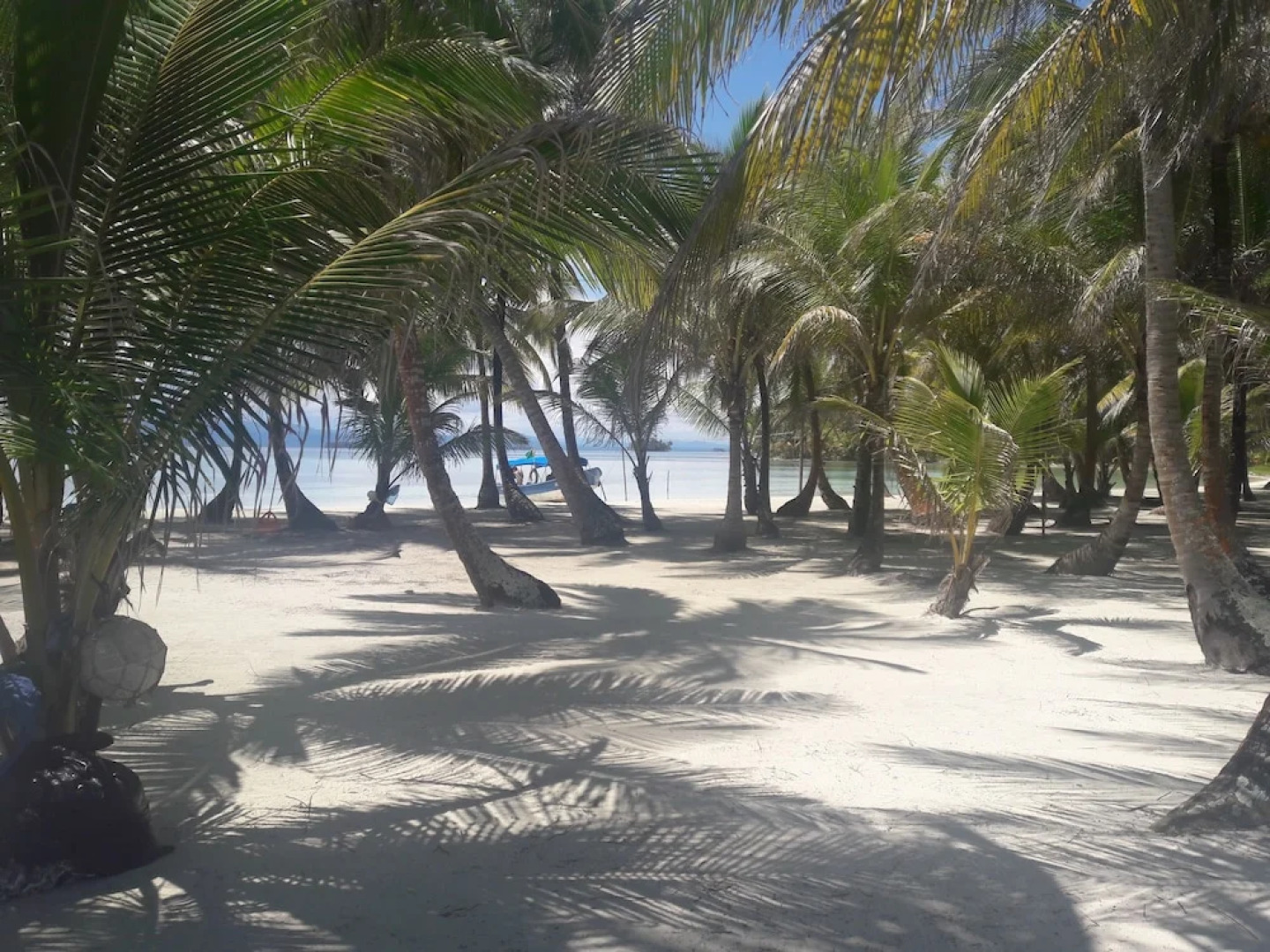 Cabanas Narasgandub - Naranjo Chico