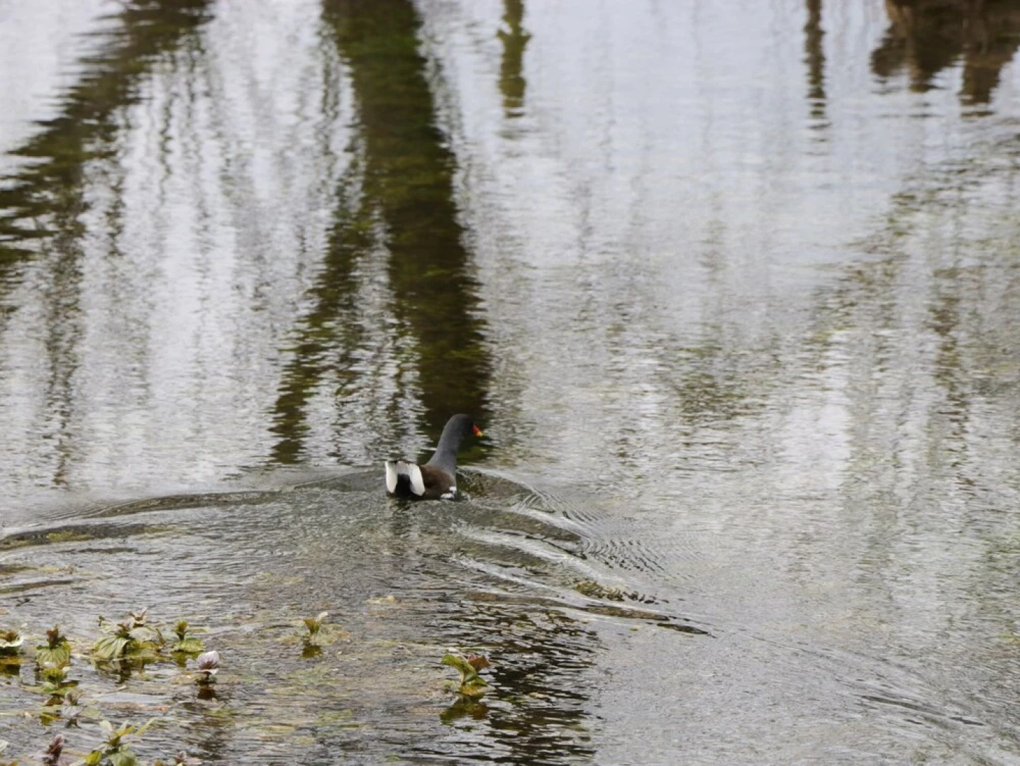 The Courtyard - Hilltop Barn