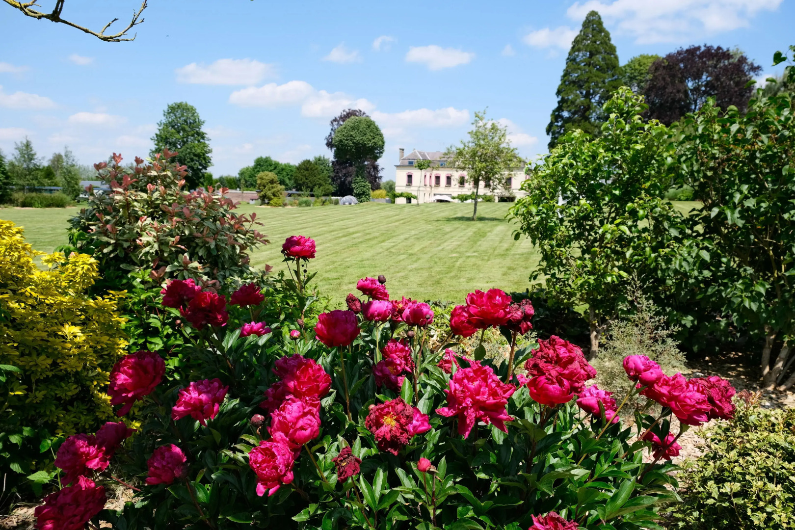 Le Domaine Des Fagnes