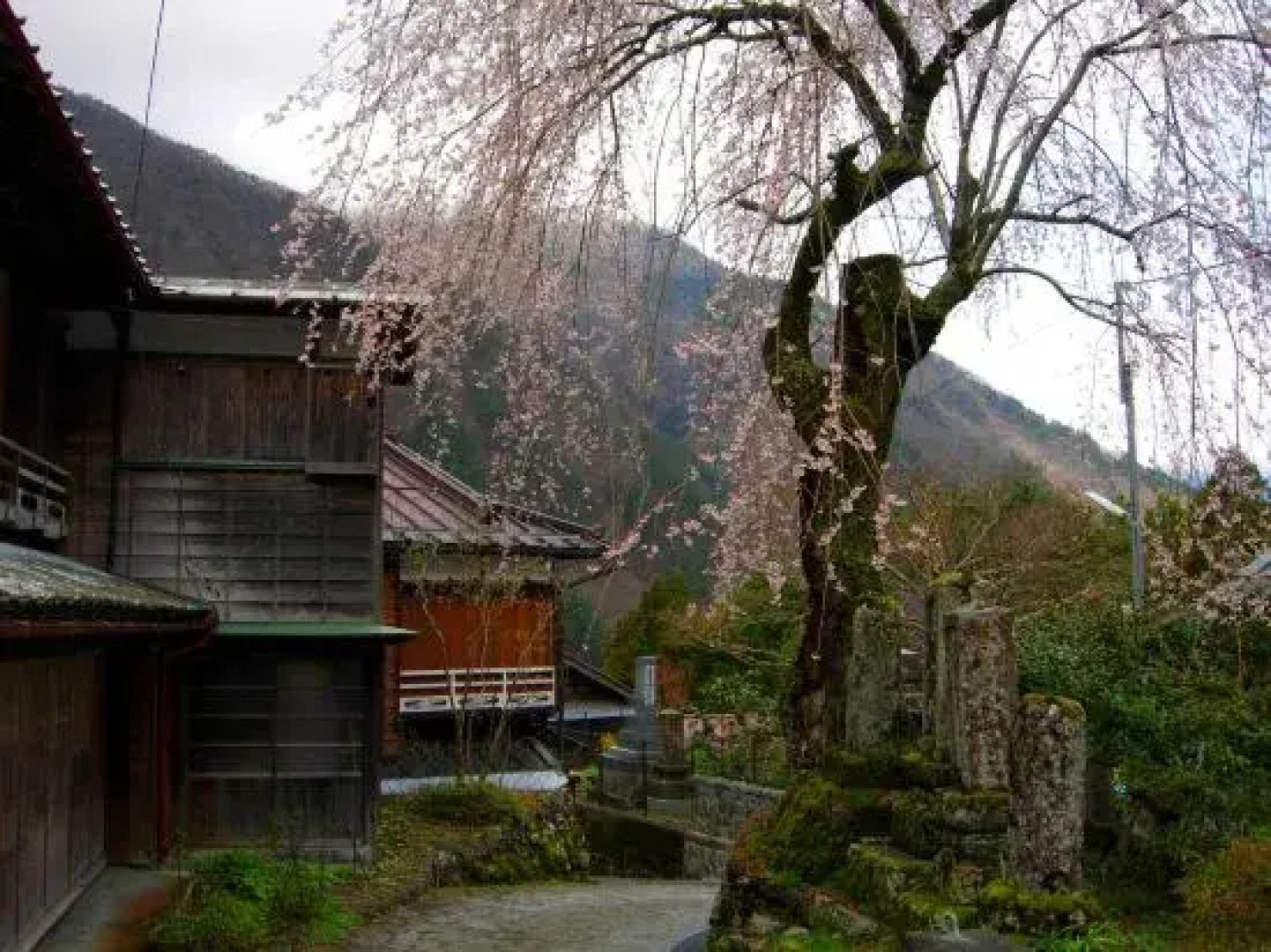 Kogennosato Onsen Healthy Misato