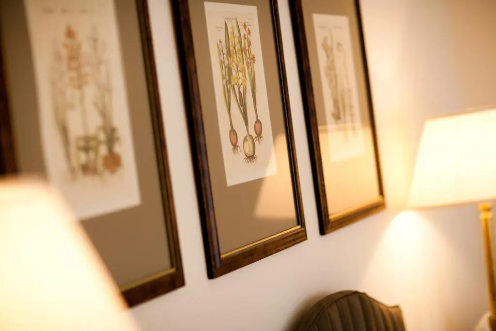 Thorn Park by The Vines