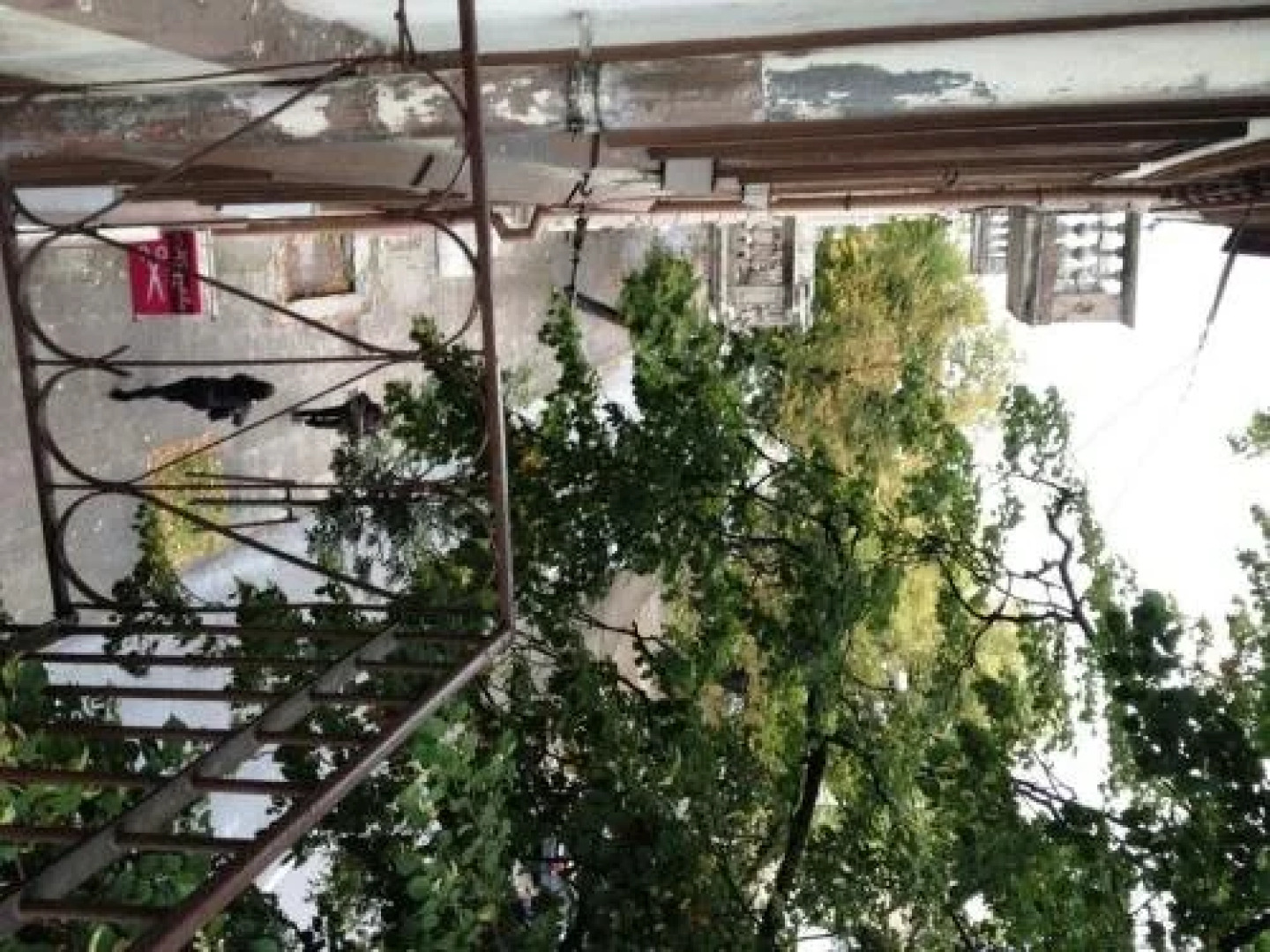 Aviza Hostel