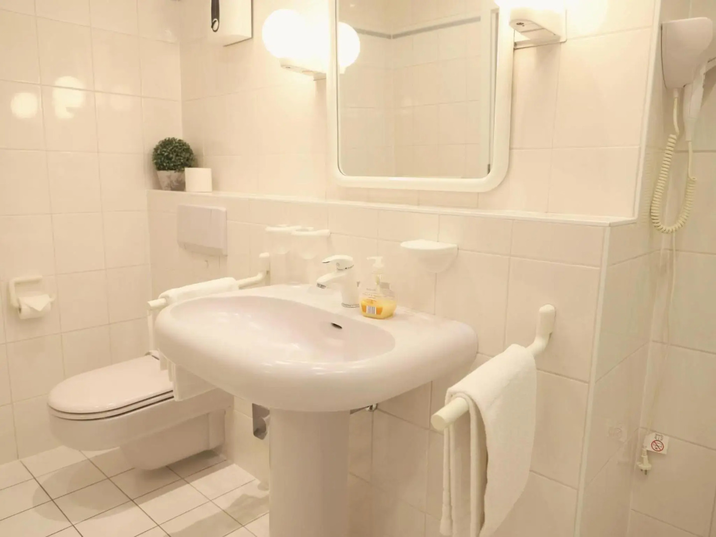 Das geräumige 2-Zimmer-Appartement