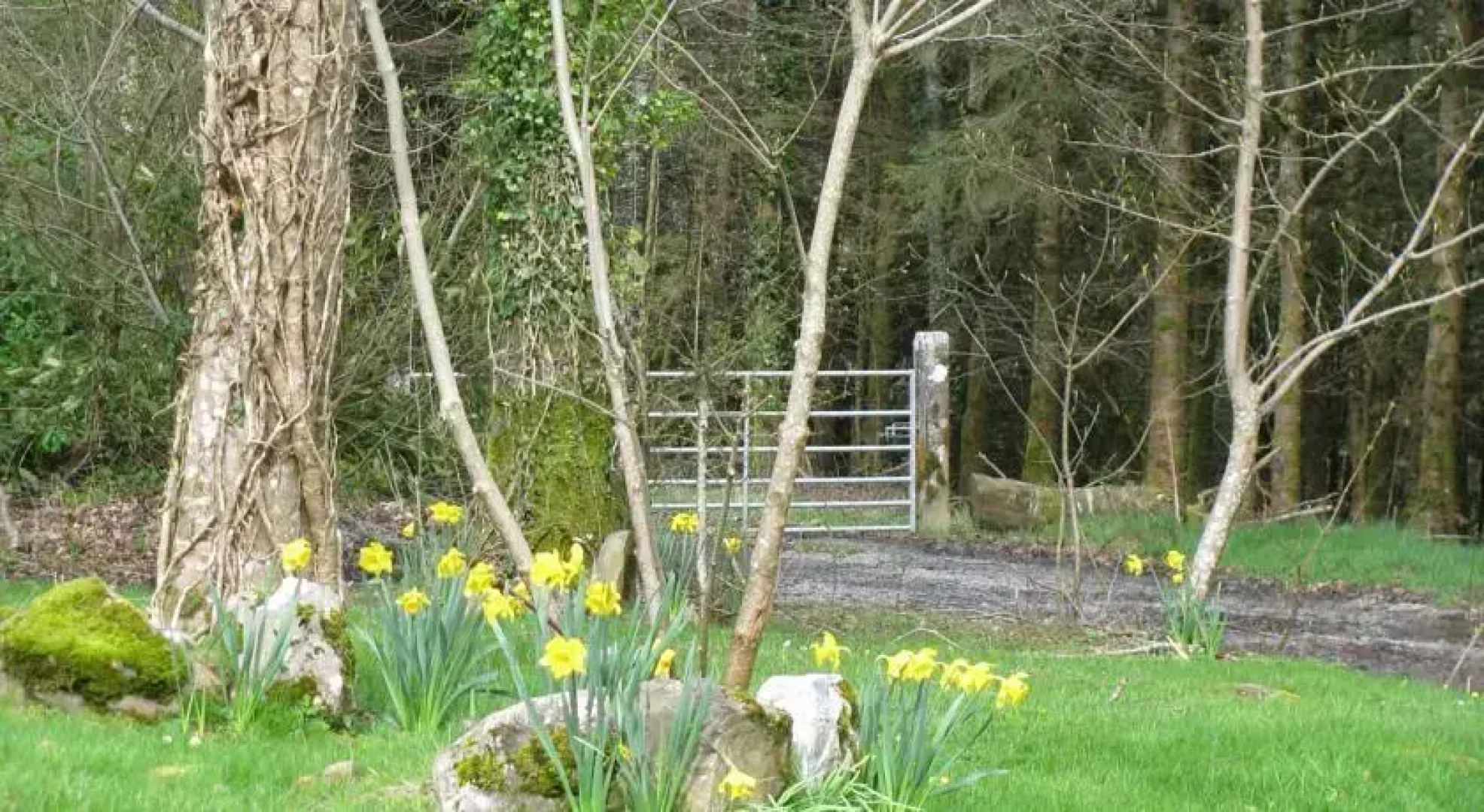 Schoolhouse at Annaghmore