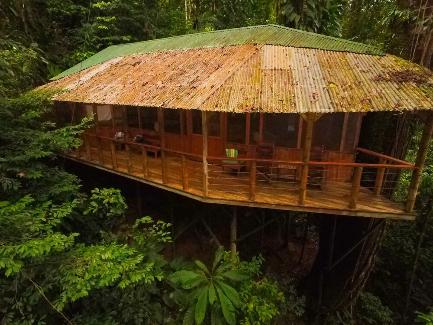 Finca Bellavista Treehouse Community