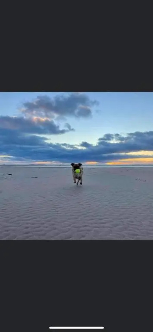 Lovely coastal house in the western lake district minimum 3 night stay