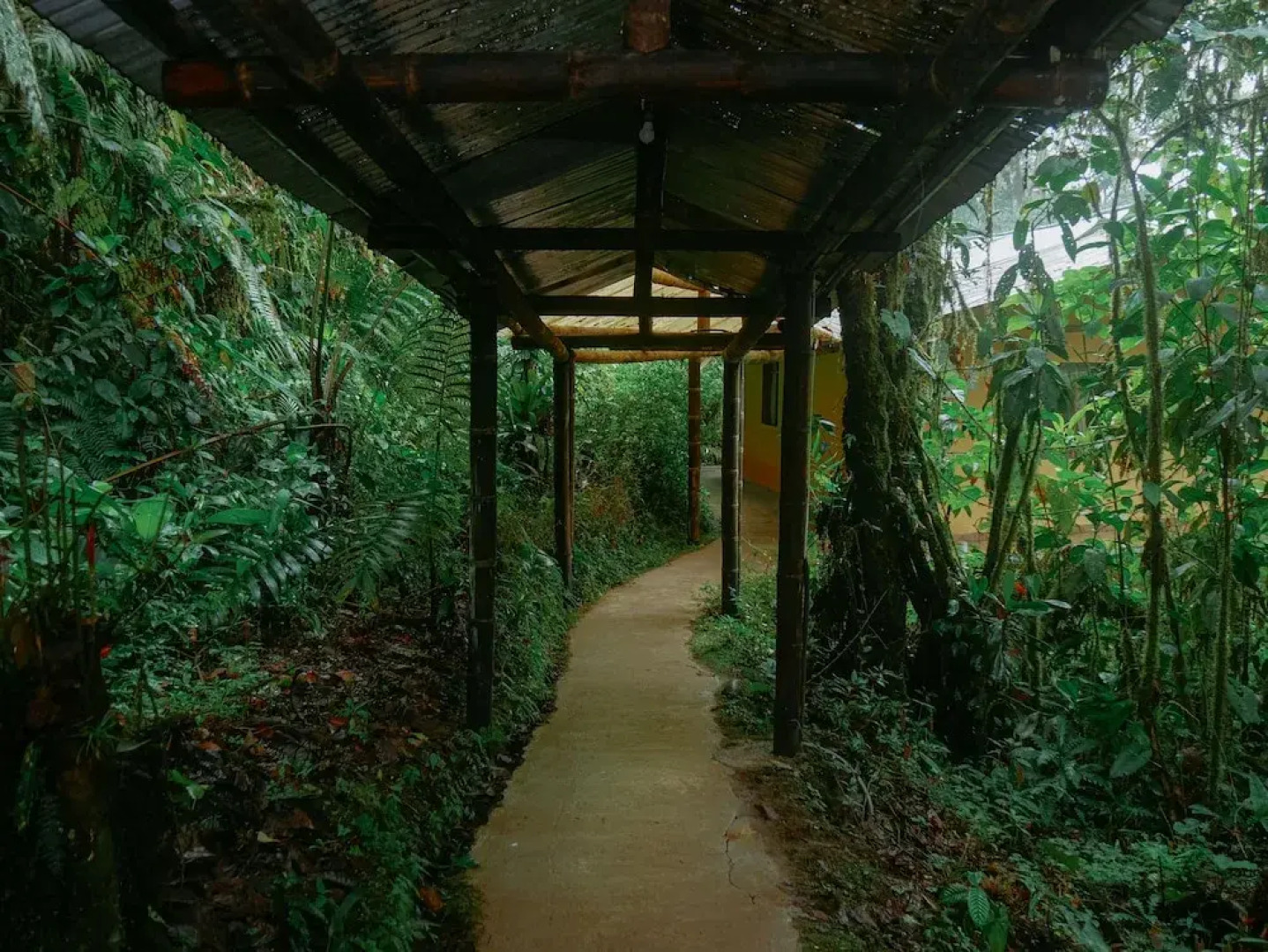 Birdwatchers House y Lodge