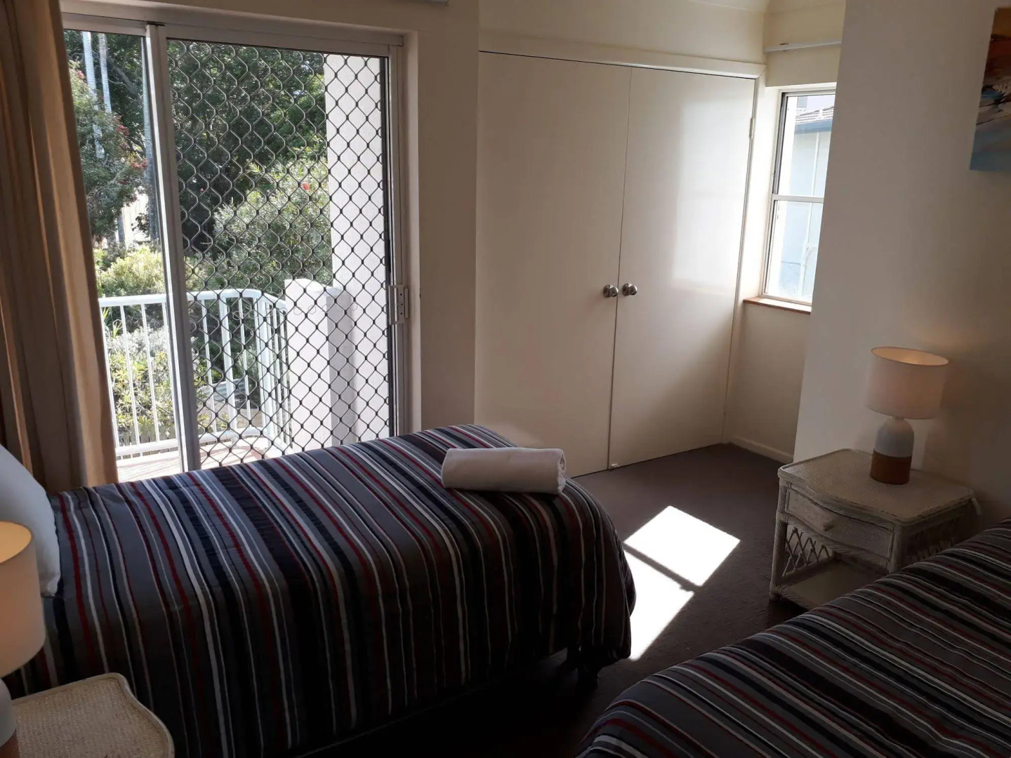 Pandanus Coolum Beach