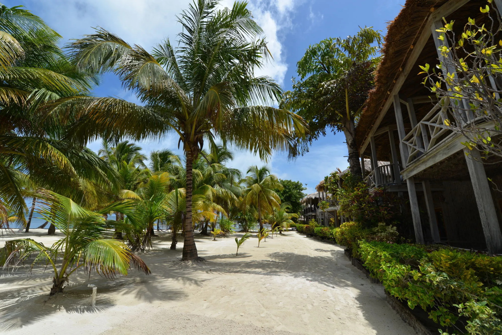 Captain Morgan's Retreat