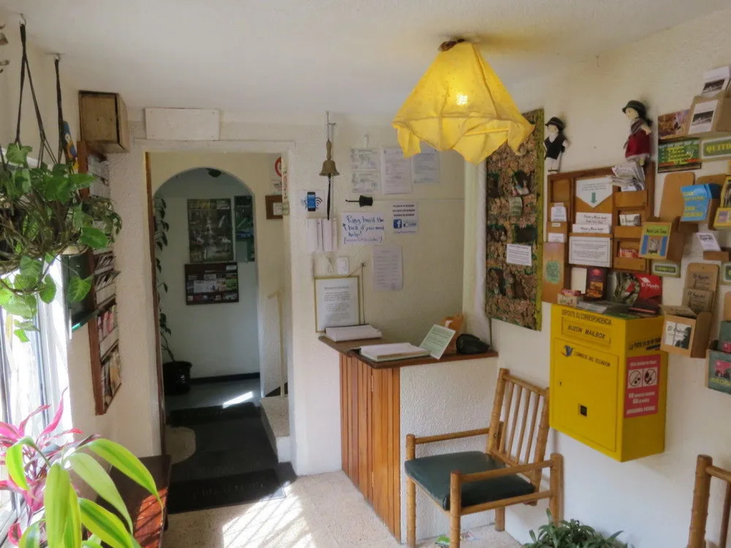 Hostal Plantas  Y Blanco