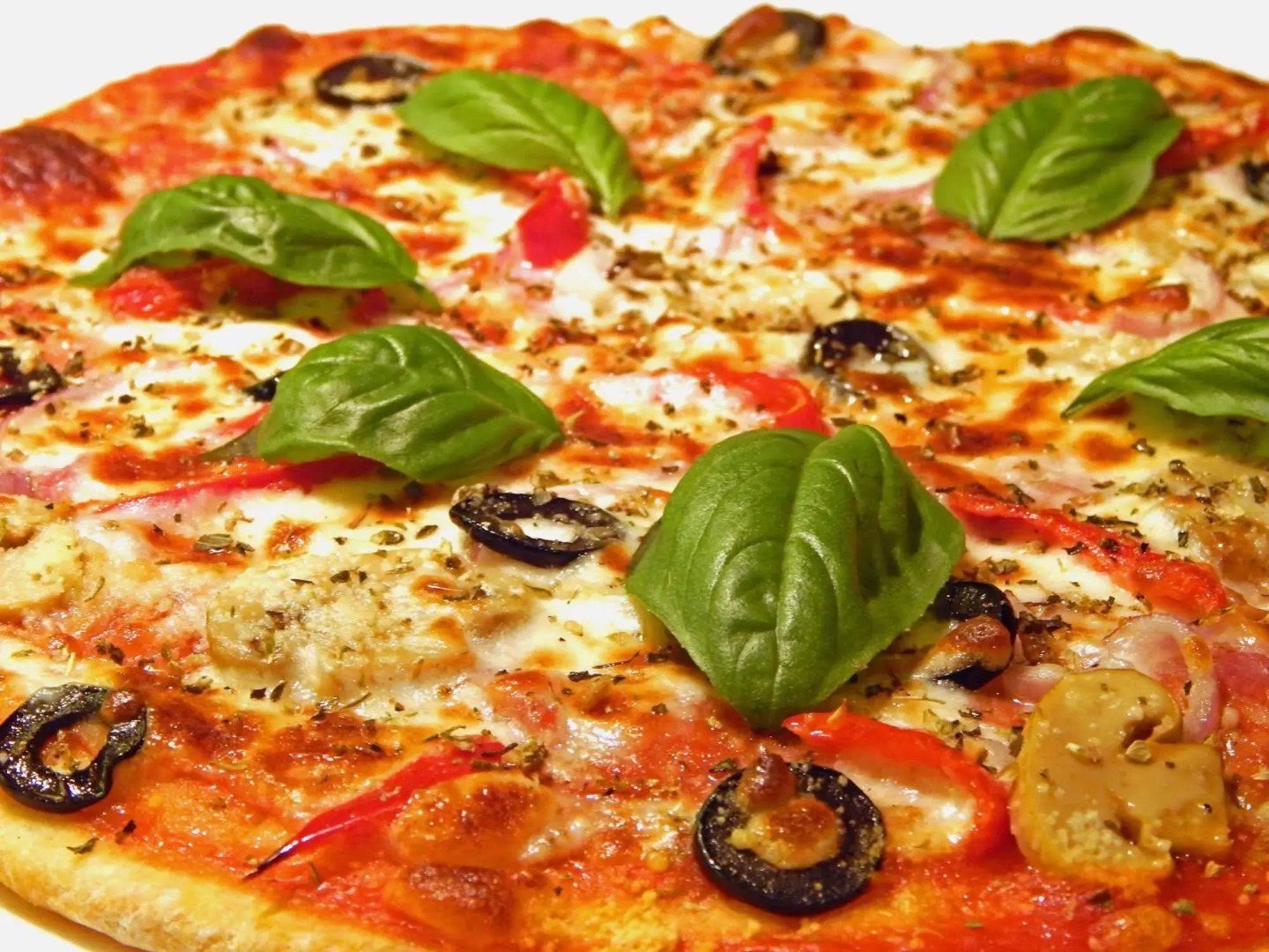 Bohol Vantage Resort