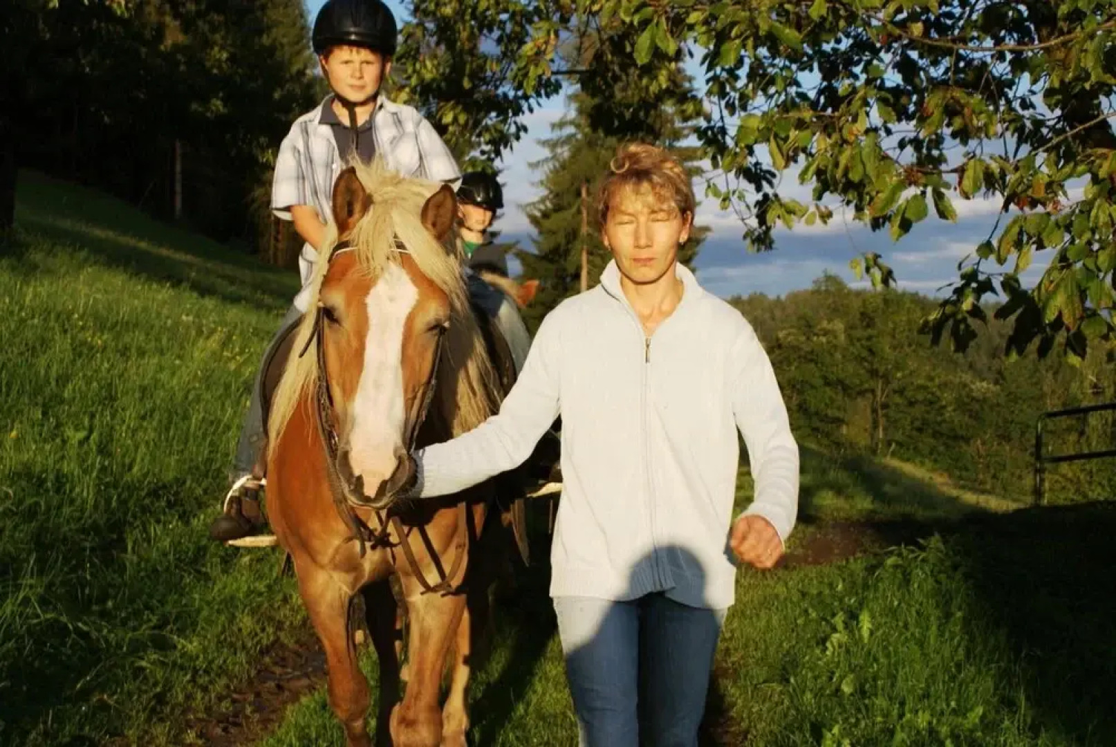 Berghotel Presslauer