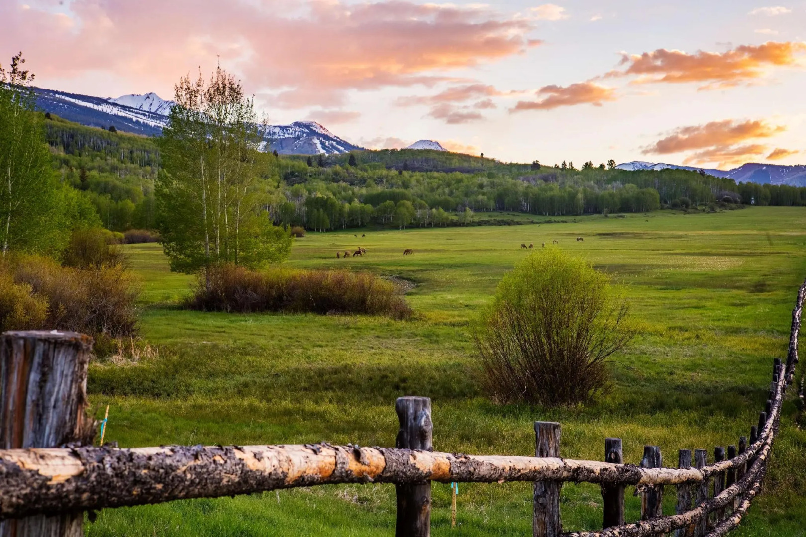 Willows - CoralTree Residence Collection