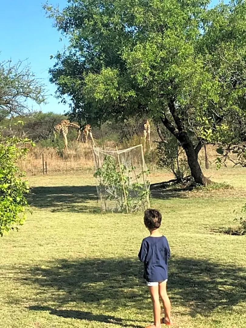 Tamboti Bush Lodge