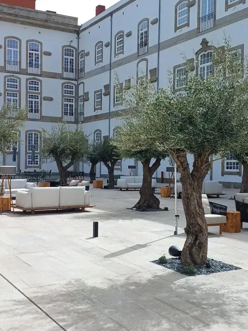 The Lince Santa Clara