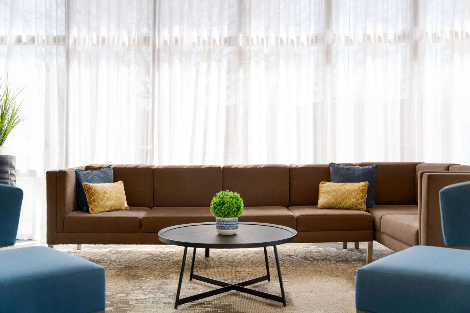 Wingate by Wyndham Williamsburg