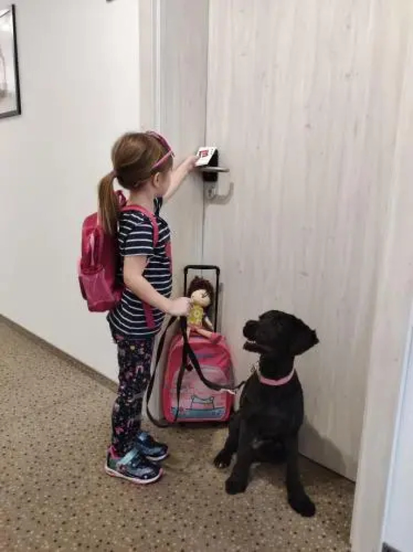 Hotel Restaurant Blie