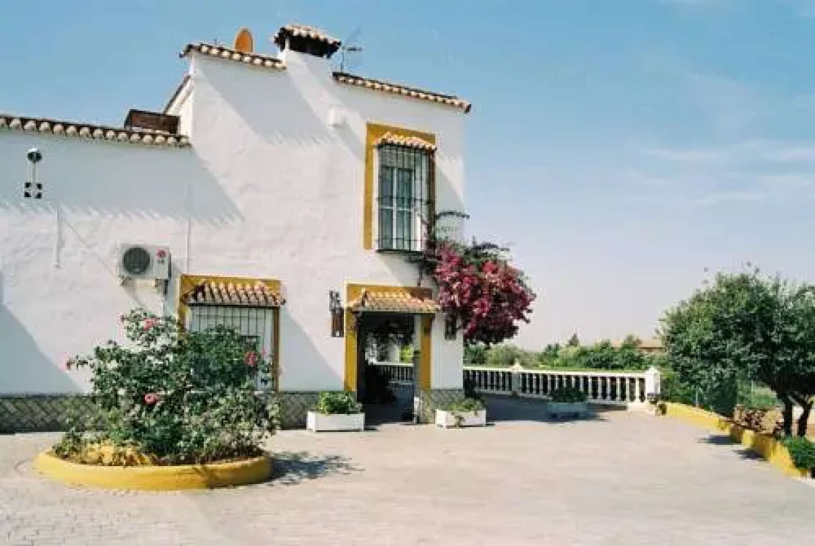 Finca La Luz Bed & Breakfast