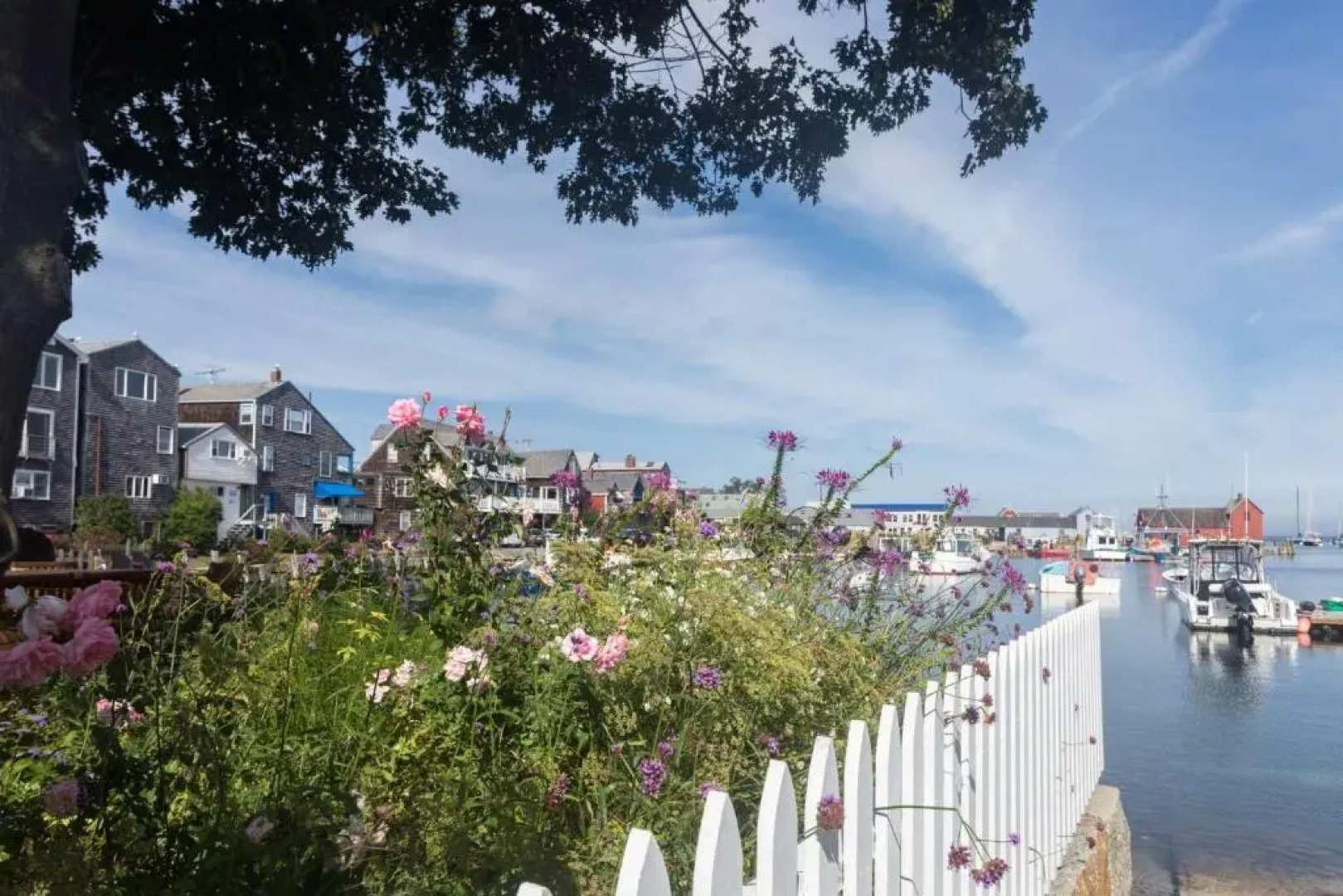 Harborsides Neighbor