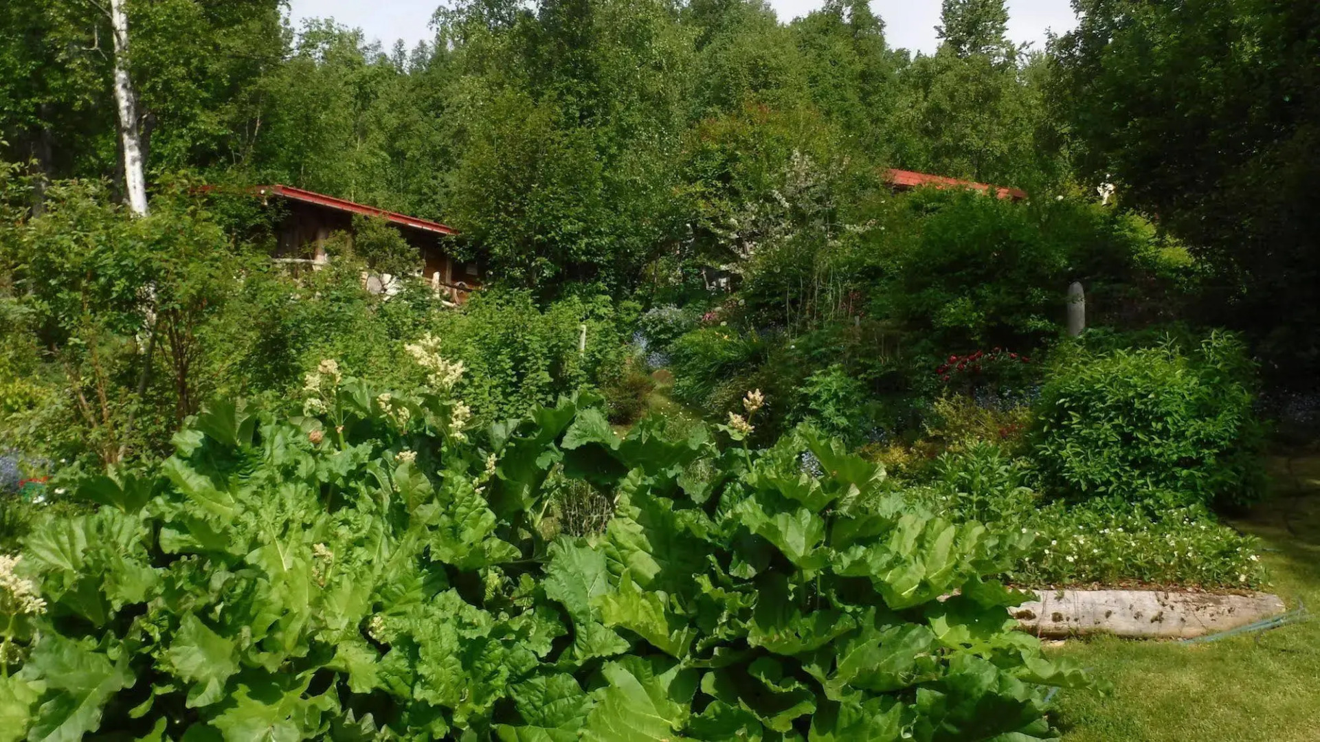 Brigitte's Bavarian Bed und Breakfast