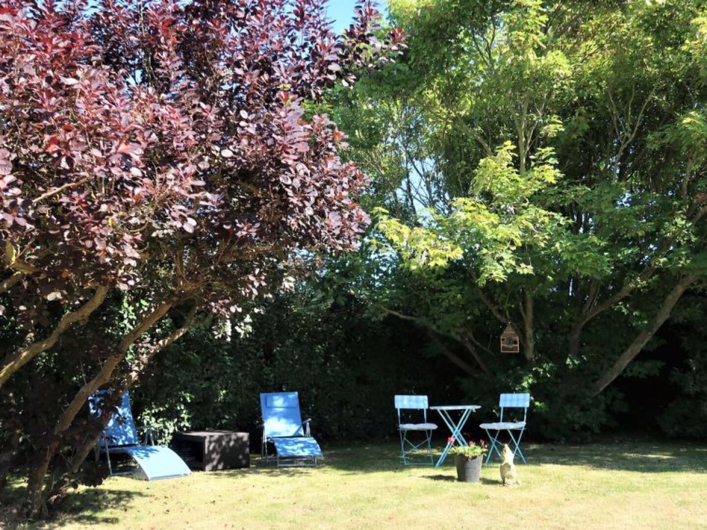 Les Hortensias 42103