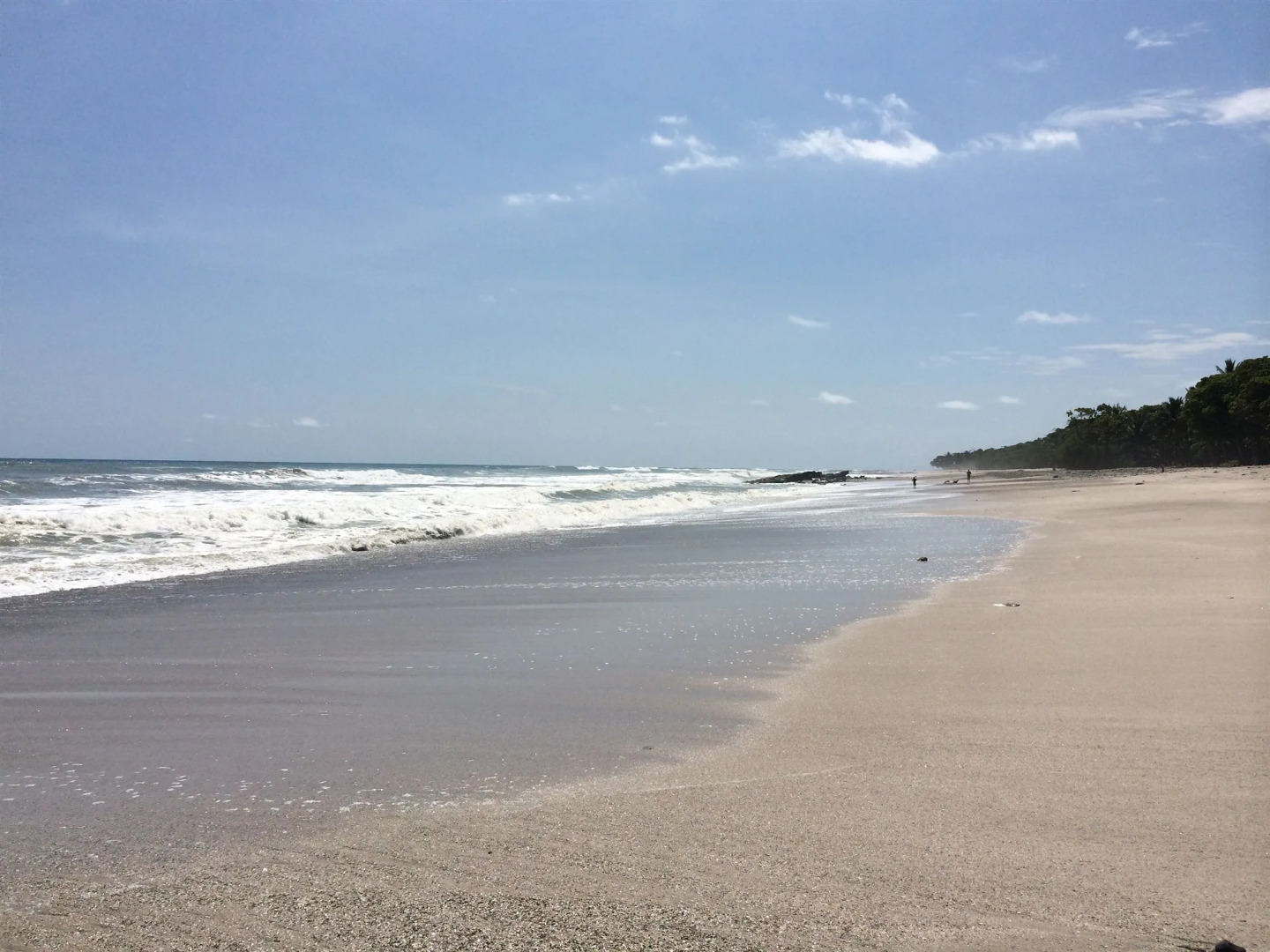 Hotel Tropico Latino