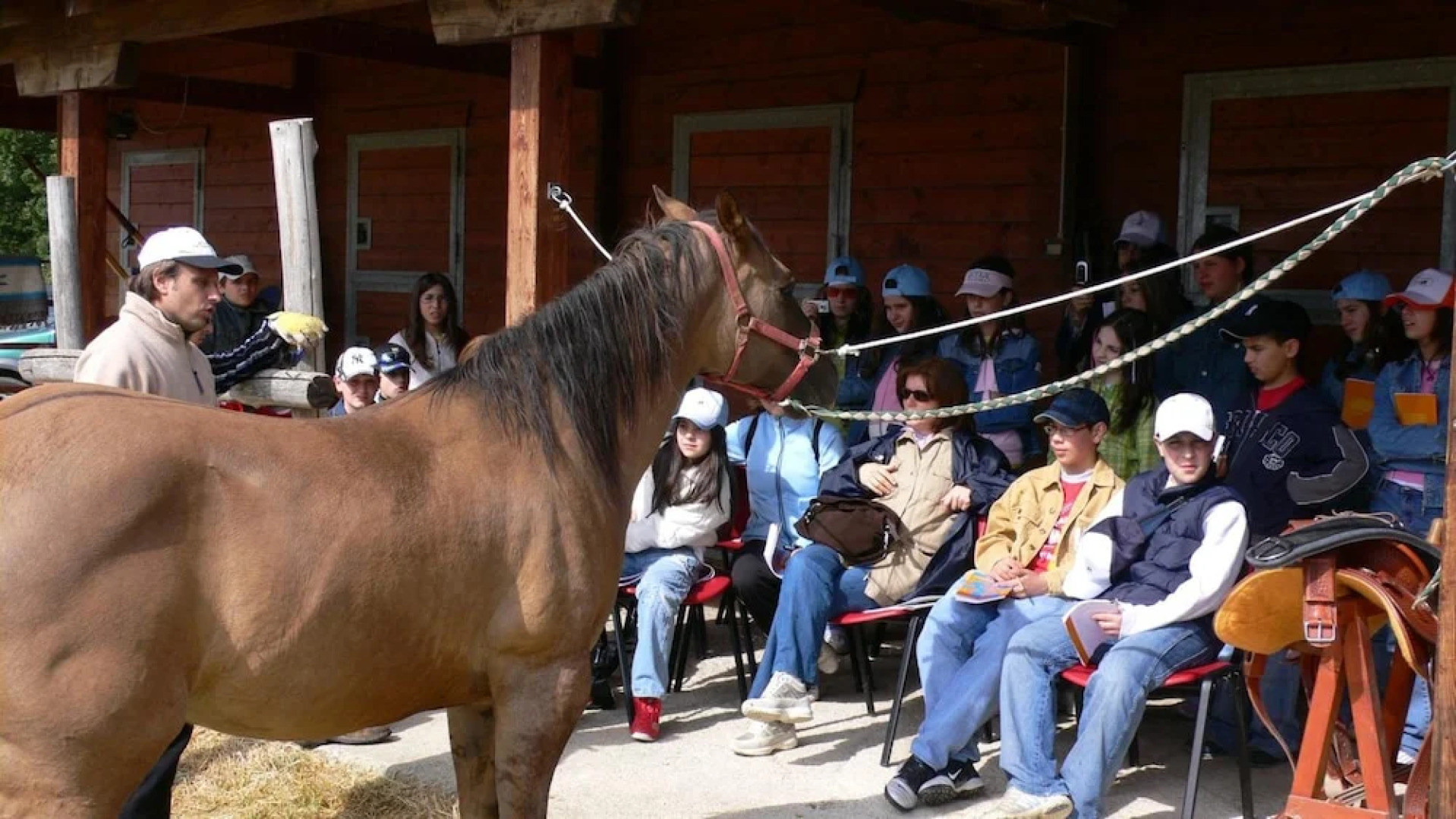 Masseria Straziuso - La Vaccariccia