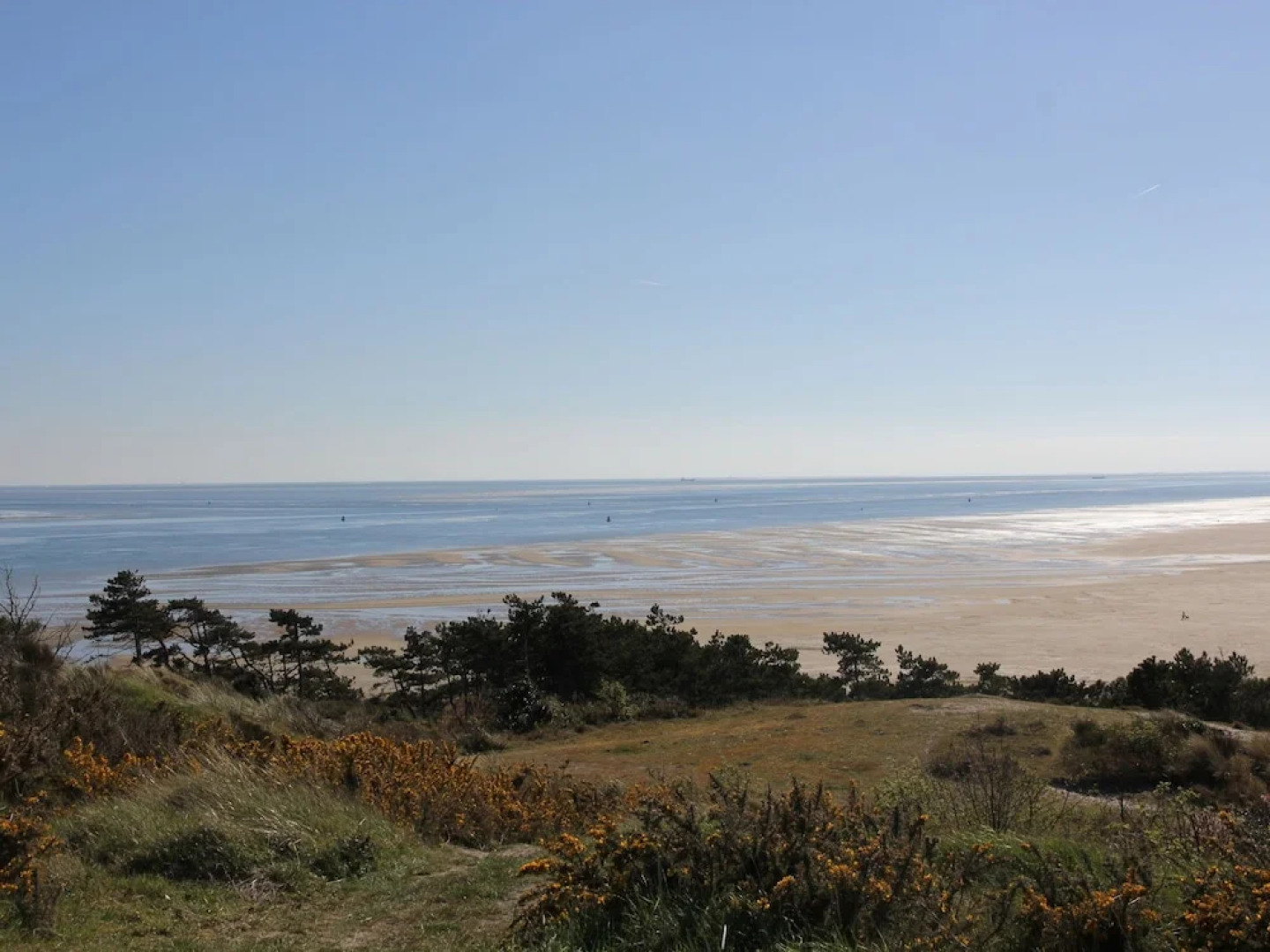 Modern Cabin Near Sea in Oosterend Terschelling