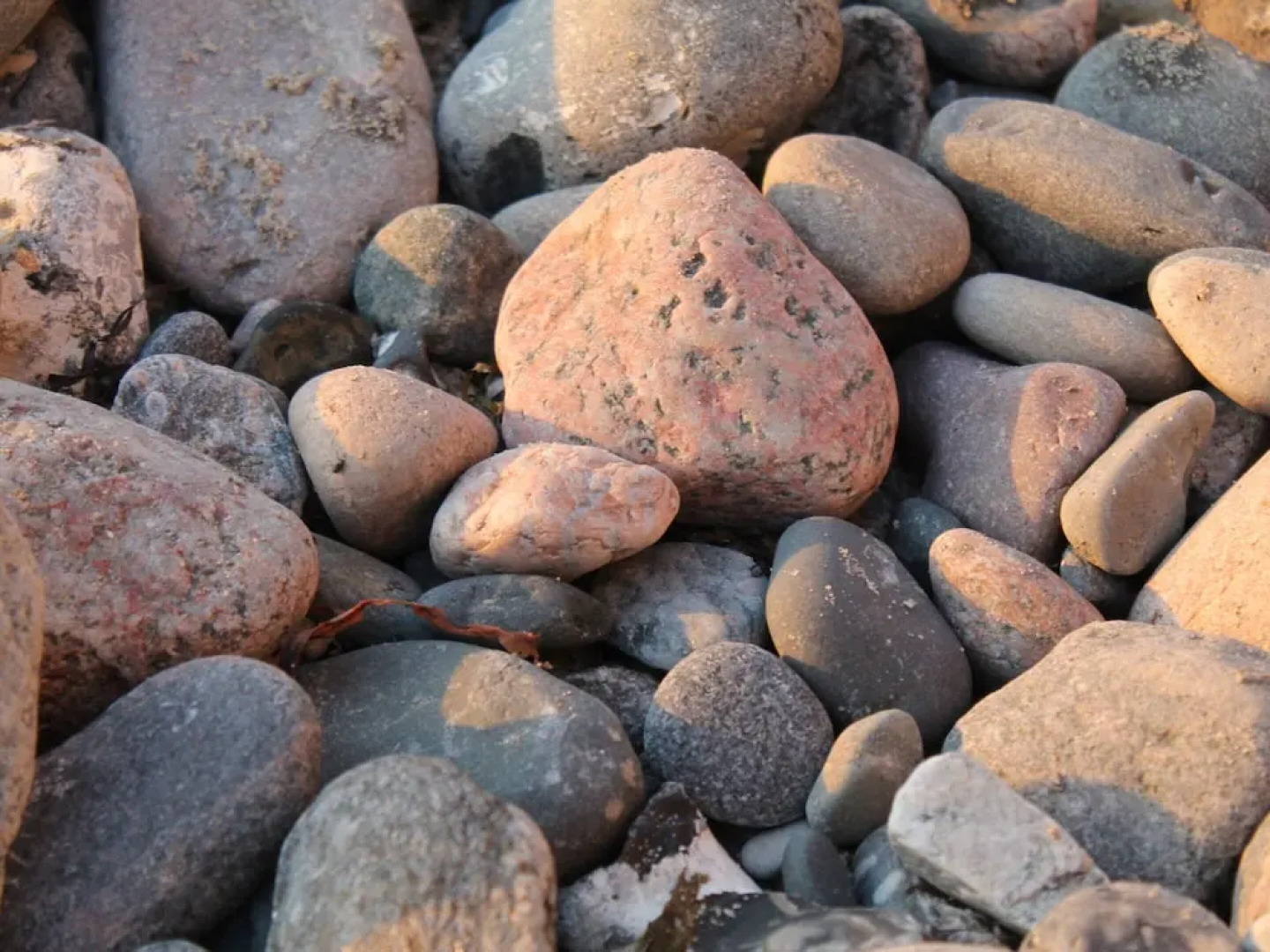 Wohnung in Blowatz an der Ostseekuste