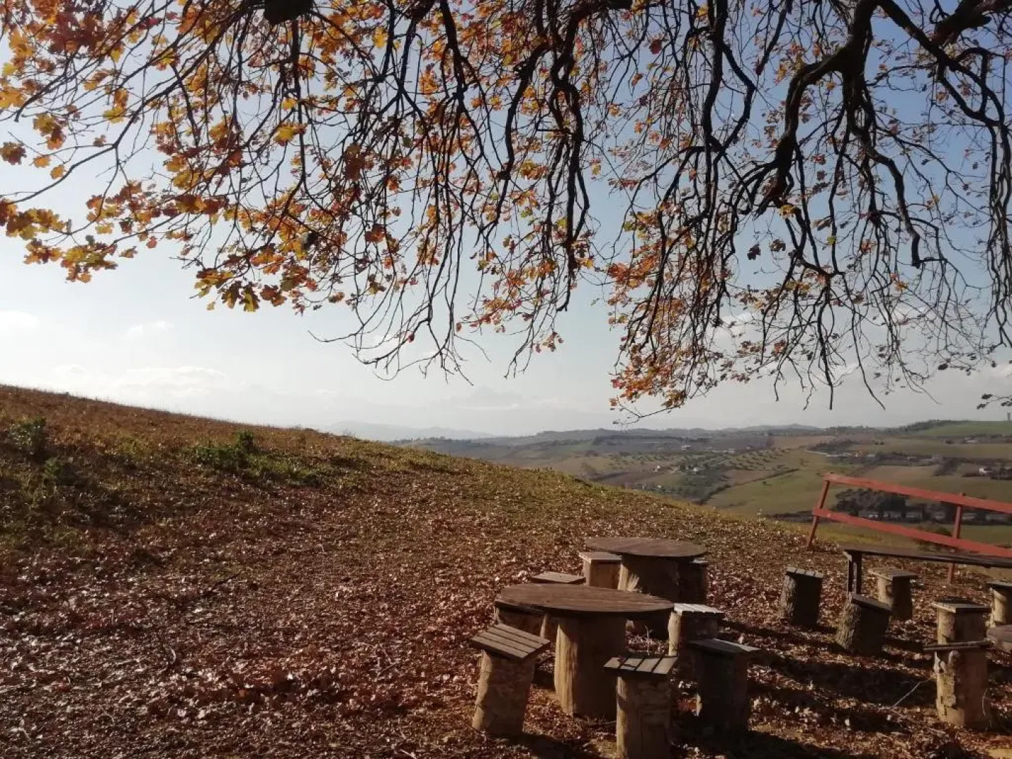 B&B Gli amici del tubarello