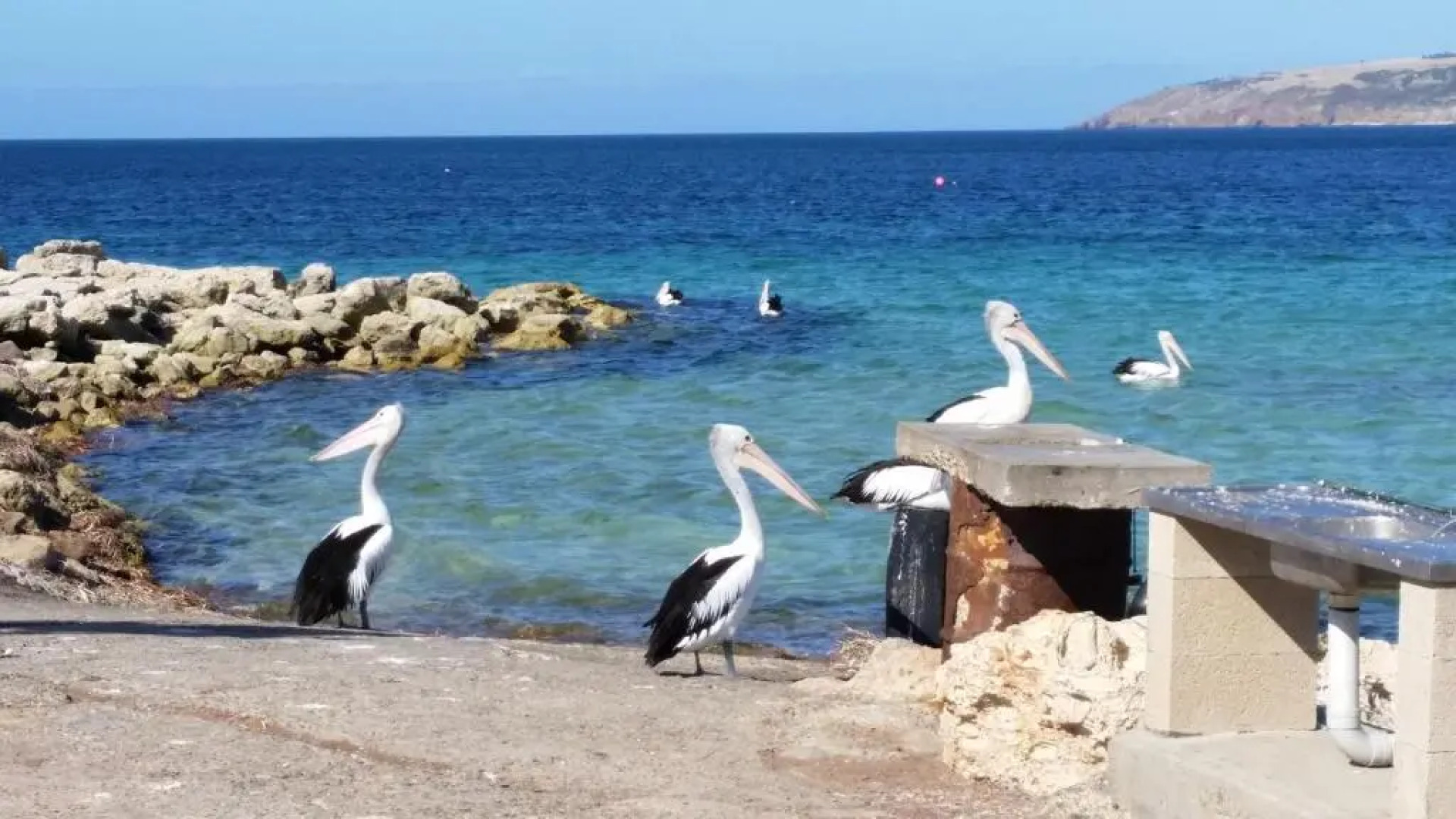 Elanora Tranquility at Emu Bay