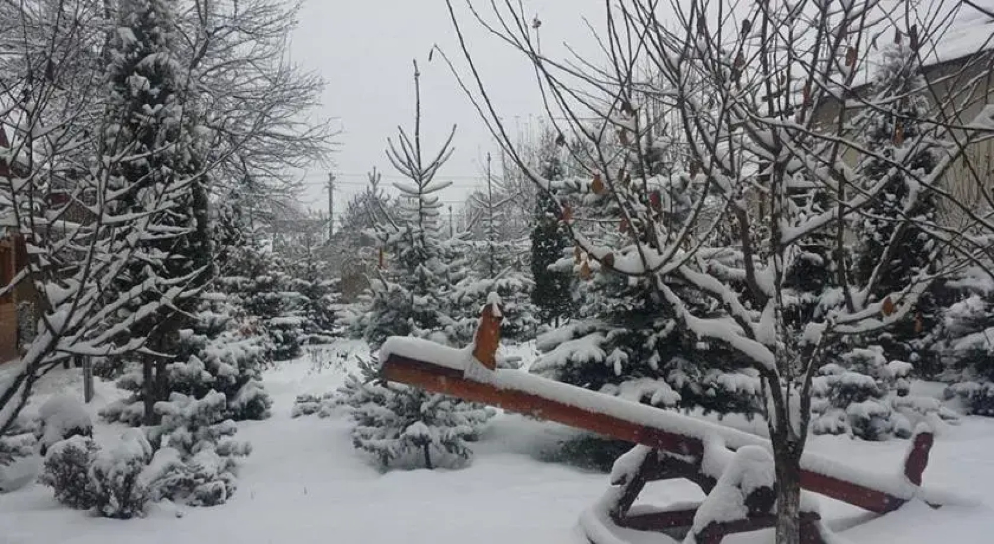 Pension Dor de Bucovina