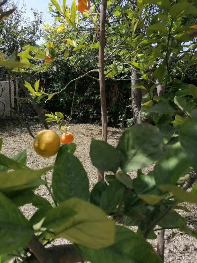 Detached renovated cottage with a garden 3 min walk from the beach