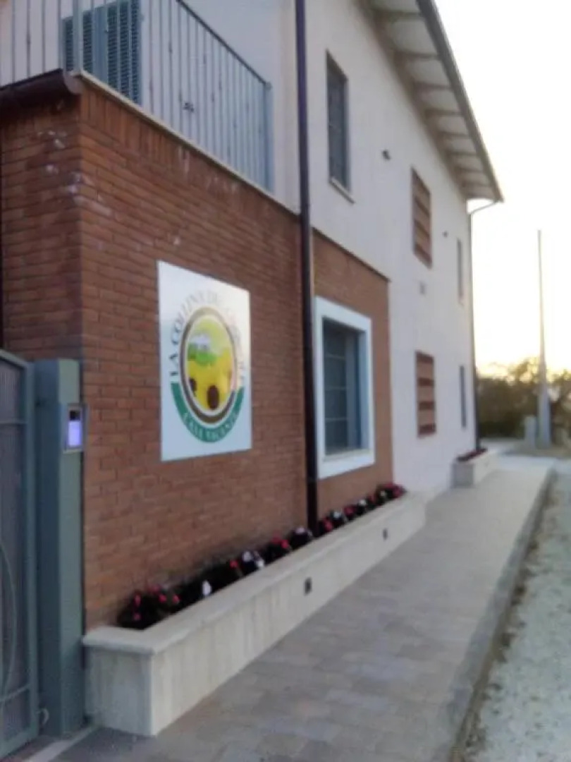 La Collina del Girasole