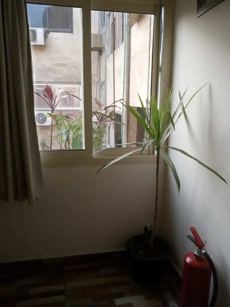 New Cairo Heart Hotel