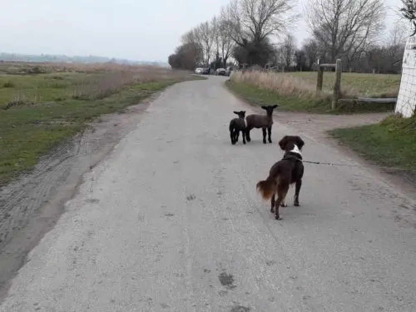 Chambres dhôtes Les Vallées