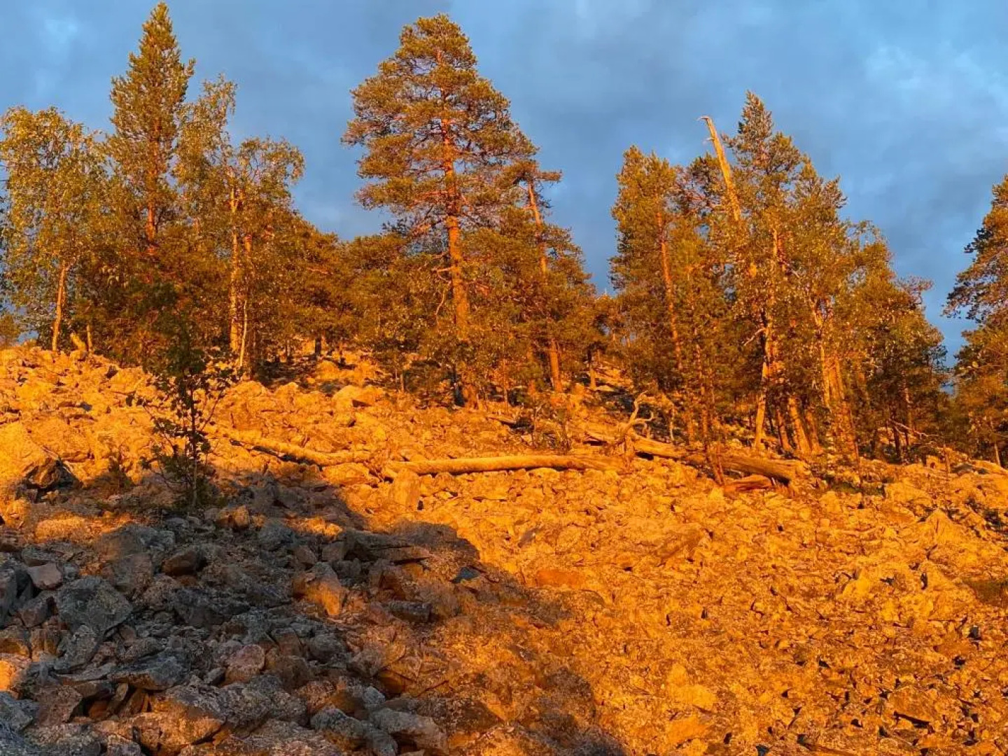 Holiday Home Luoston väärtin kammi