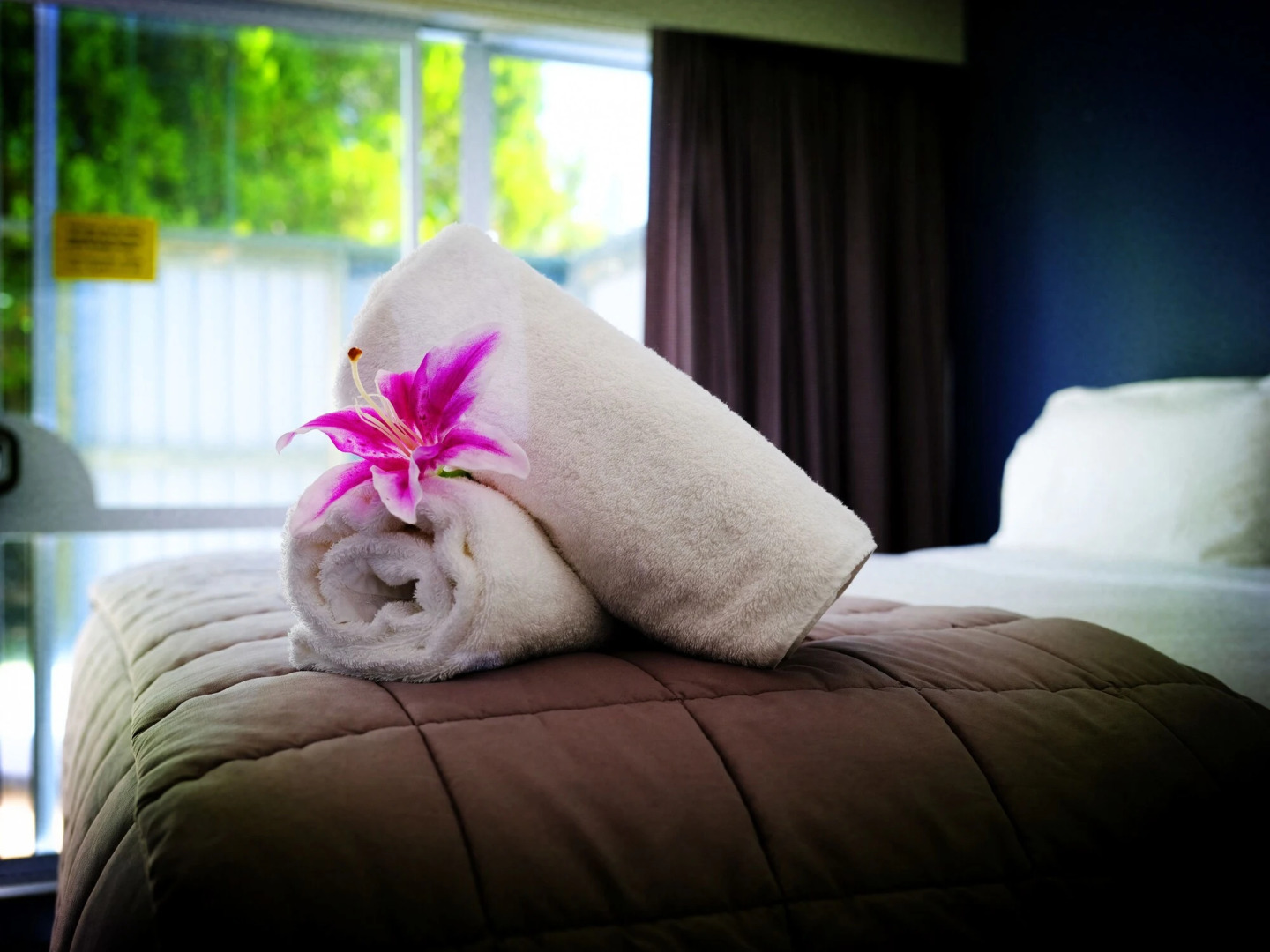 Alpin Motel & Conference Centre