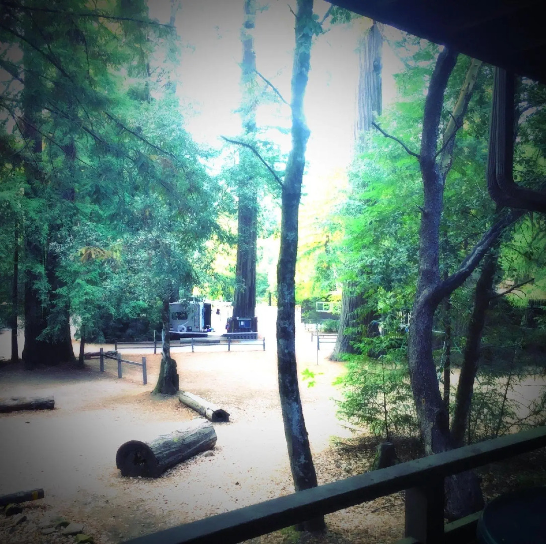 Redwoods River Resort